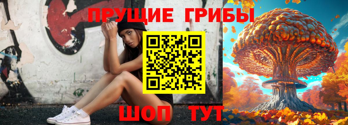 Галлюциногенные грибы GOLDEN TEACHER  Псилоцибиновые грибы Magic Shrooms  продажа наркотиков  Трёхгорный  Вход с VPN 